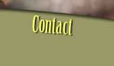 Contact Page Button